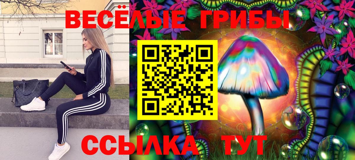 Великий Устюг  Псилоцибиновые грибы Cubensis  Вход с VPN  Галлюциногенные грибы Magic Shrooms 